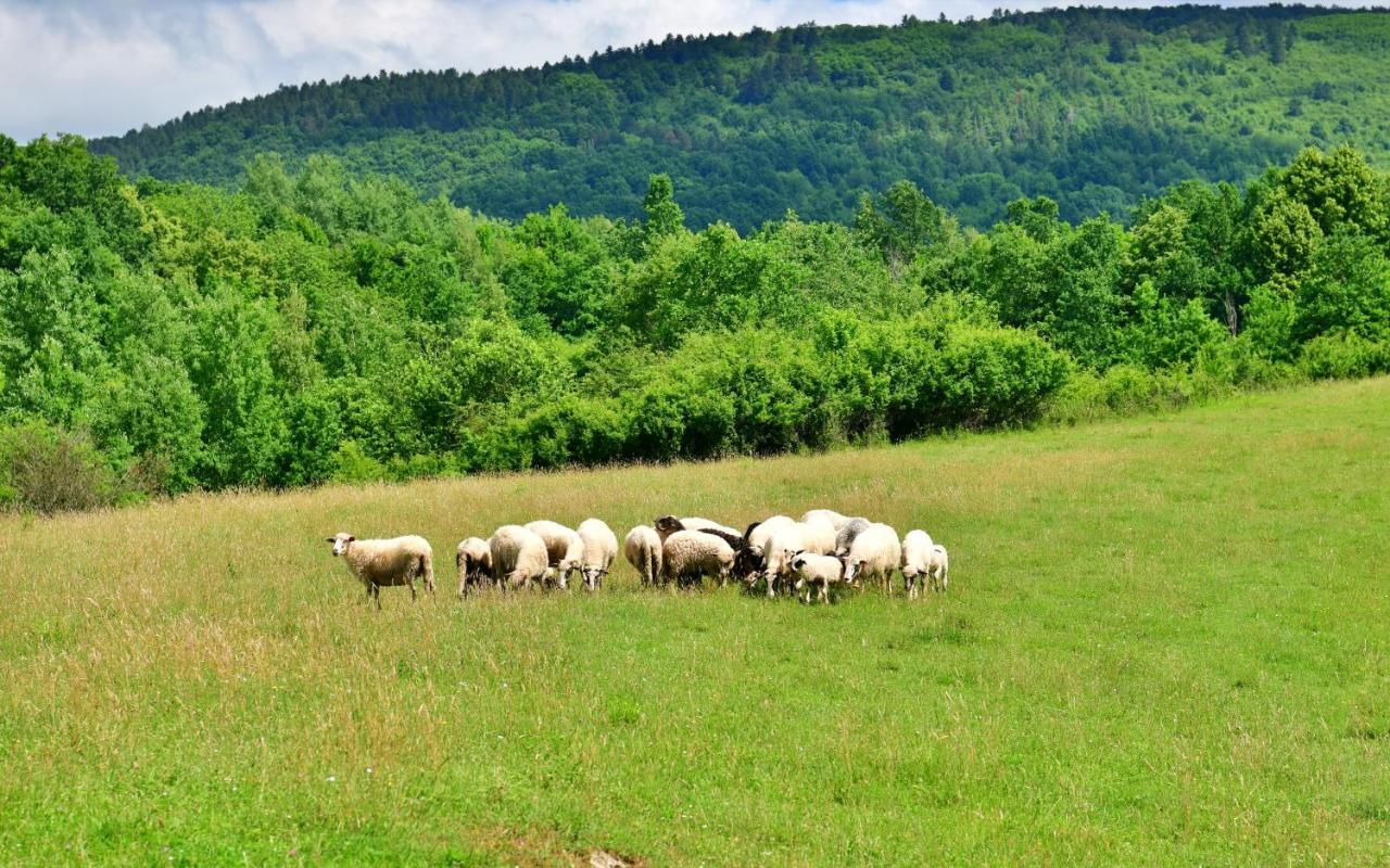 Natura Hause Раковица Экстерьер фото