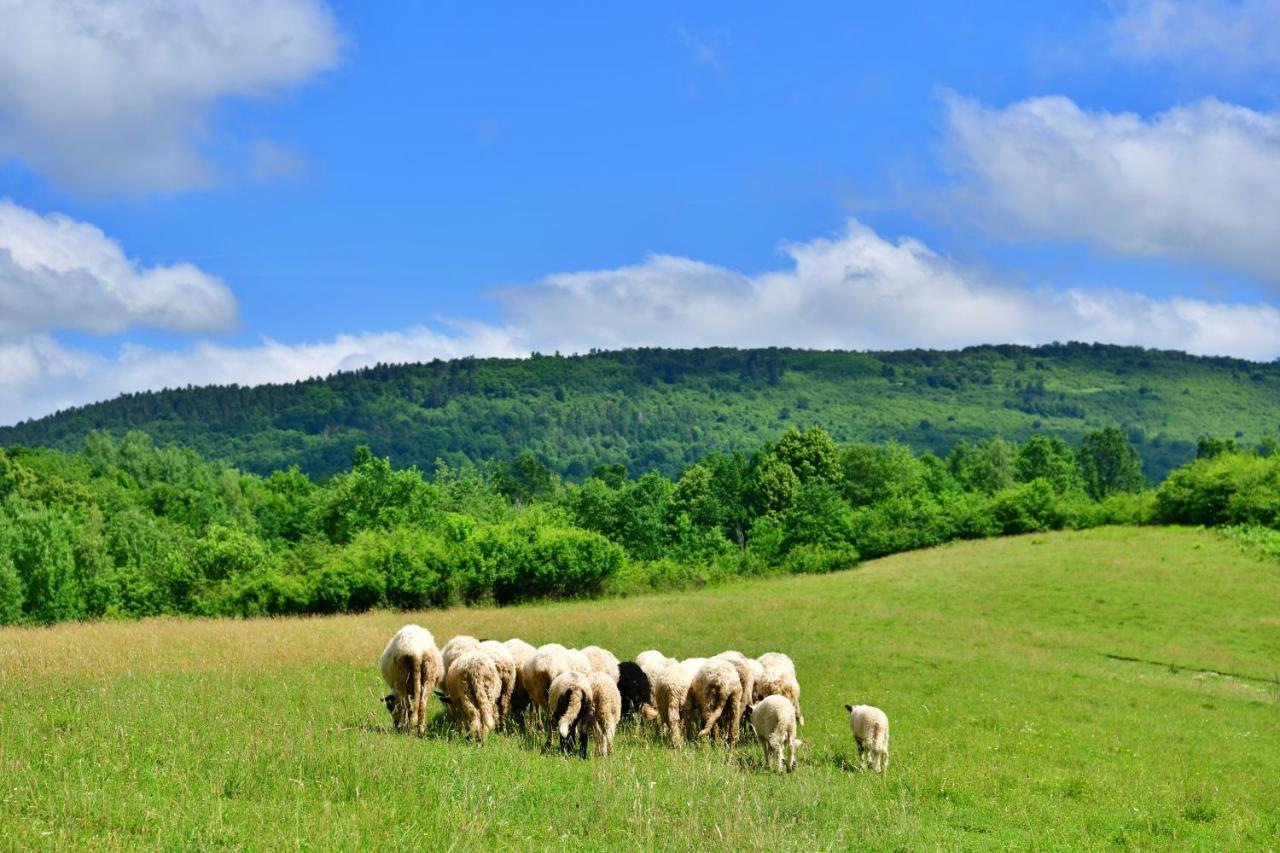 Natura Hause Раковица Экстерьер фото